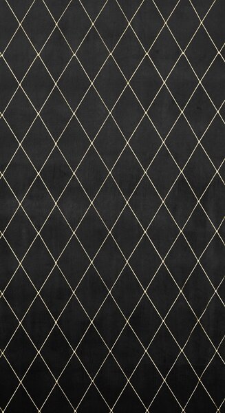 ZATEMŇOVACÍ ZÁVĚS NA KROUŽCÍCH PIERRE CARDIN MARGO 140X250 CM ČERNÁ
