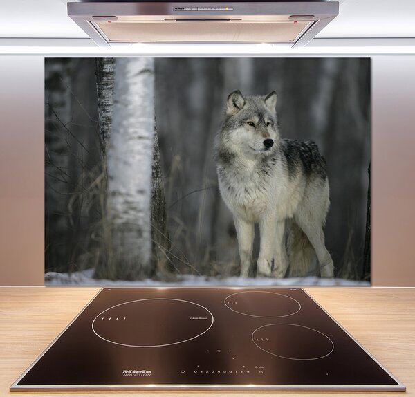Dekorační panel sklo Šedý vlk pl-pksh-100x70-f-57875164