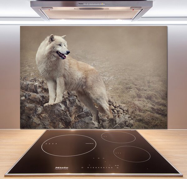 Panel lacobel Bílý vlk na skále pl-pksh-100x70-f-60381309