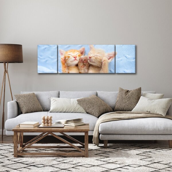 Obraz - Spící koťátka (170x50 cm)