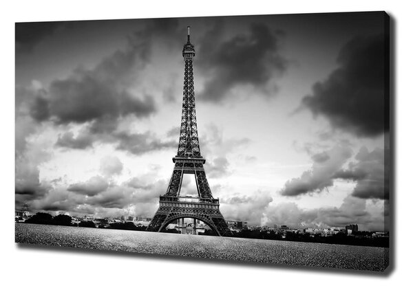 Moderní obraz canvas na rámu Eiffelova věž Paříž pl-oc-100x70-f-76327213