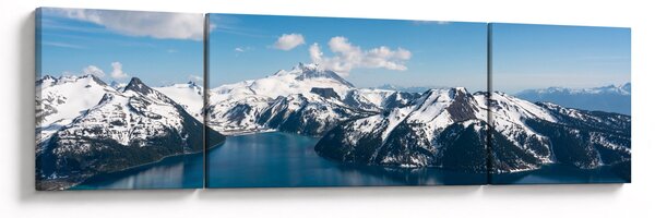 Obraz - Garibaldi Park (170x50 cm)
