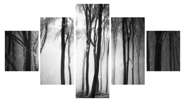 Obraz - Vlk v temném lese (125x70 cm)