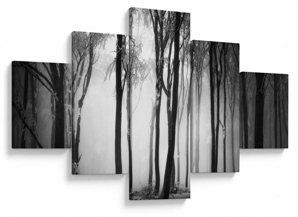 Obraz - Vlk v temném lese (125x70 cm)