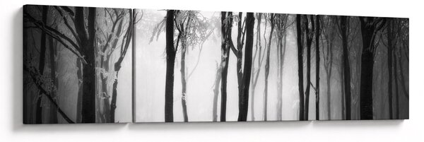 Obraz - Vlk v temném lese (170x50 cm)
