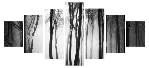 Obraz - Vlk v temném lese (210x100 cm)