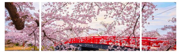 Obraz - Hirosaki, Japonsko (170x50 cm)