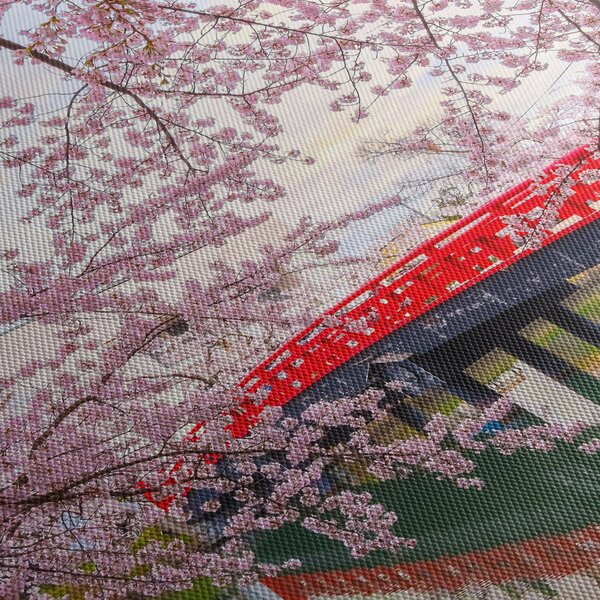 Obraz - Hirosaki, Japonsko (30x30 cm)