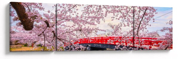 Obraz - Hirosaki, Japonsko (170x50 cm)