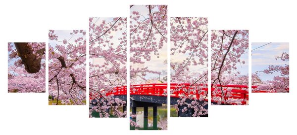 Obraz - Hirosaki, Japonsko (210x100 cm)
