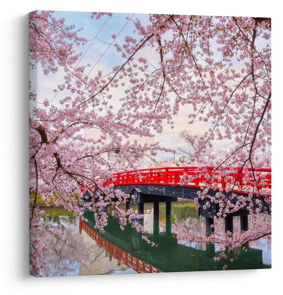 Obraz - Hirosaki, Japonsko (30x30 cm)