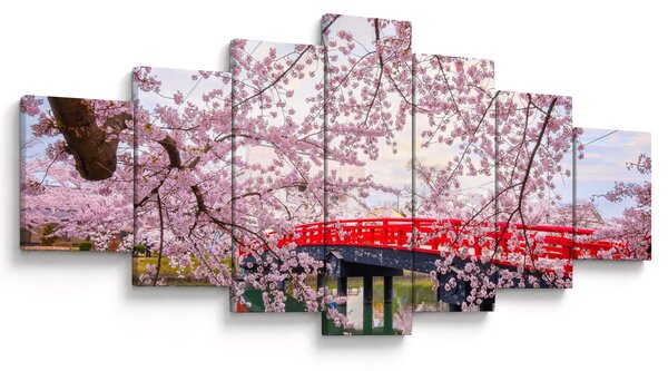 Obraz - Hirosaki, Japonsko (210x100 cm)