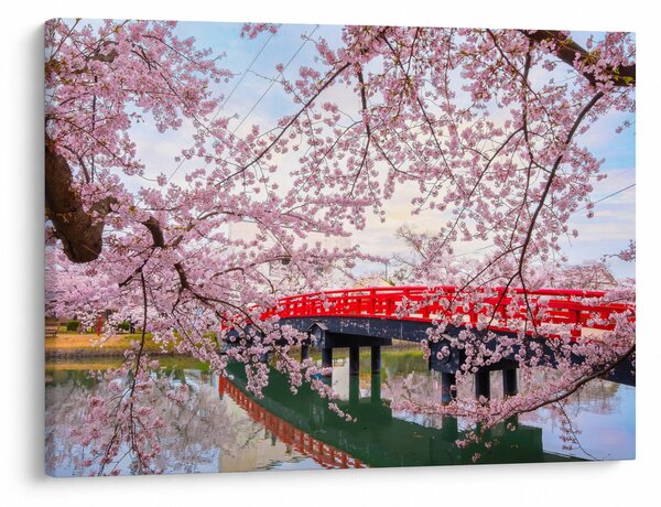 Obraz - Hirosaki, Japonsko (70x50 cm)