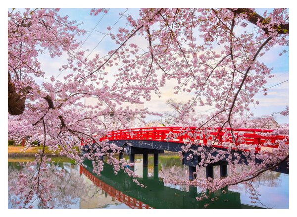 Obraz - Hirosaki, Japonsko (70x50 cm)