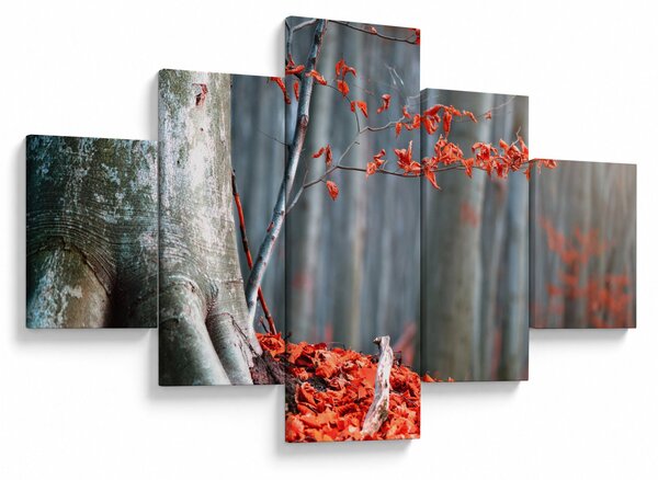 Obraz - Podzim (125x70 cm)