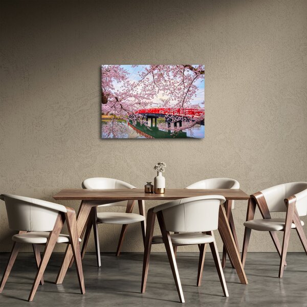 Obraz - Hirosaki, Japonsko (70x50 cm)