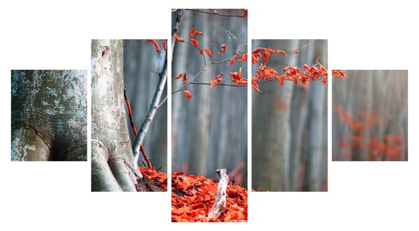 Obraz - Podzim (125x70 cm)