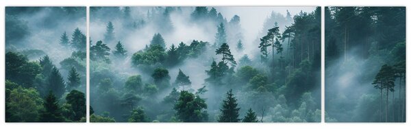 Obraz - Les v mlze (170x50 cm)
