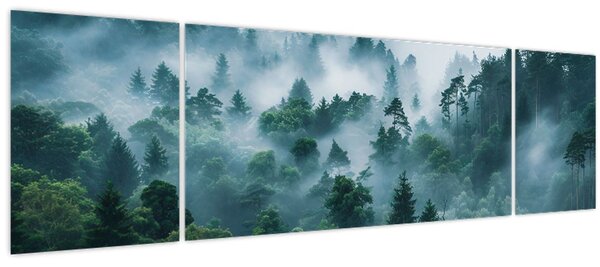 Obraz - Les v mlze (170x50 cm)