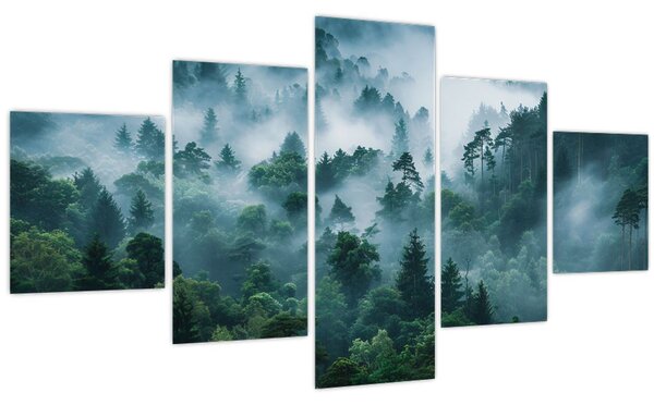 Obraz - Les v mlze (125x70 cm)