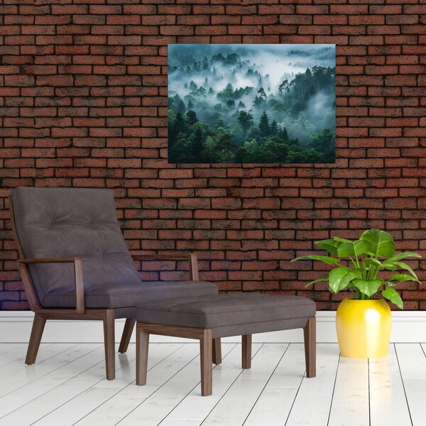 Obraz - Les v mlze (70x50 cm)