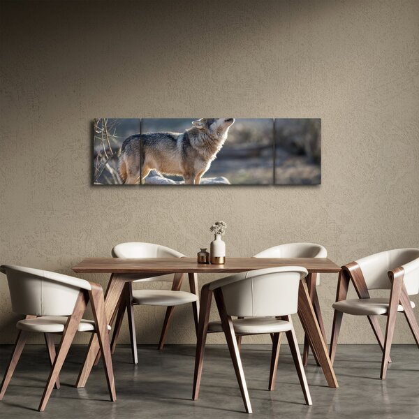 Obraz - Vyjící vlk (170x50 cm)