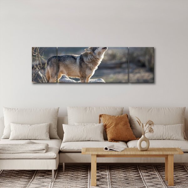 Obraz - Vyjící vlk (170x50 cm)