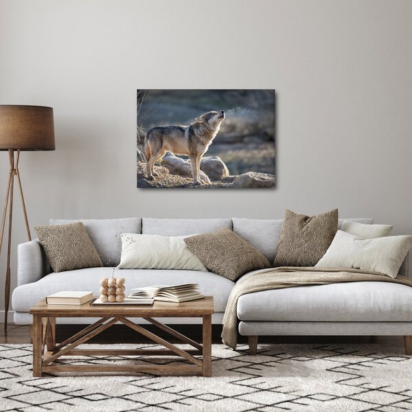 Obraz - Vyjící vlk (70x50 cm)