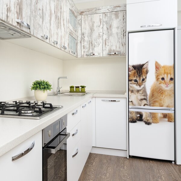 Nálepka fototapeta lednička Šedá a červená kočka FridgeStick-70x190-f-101681955