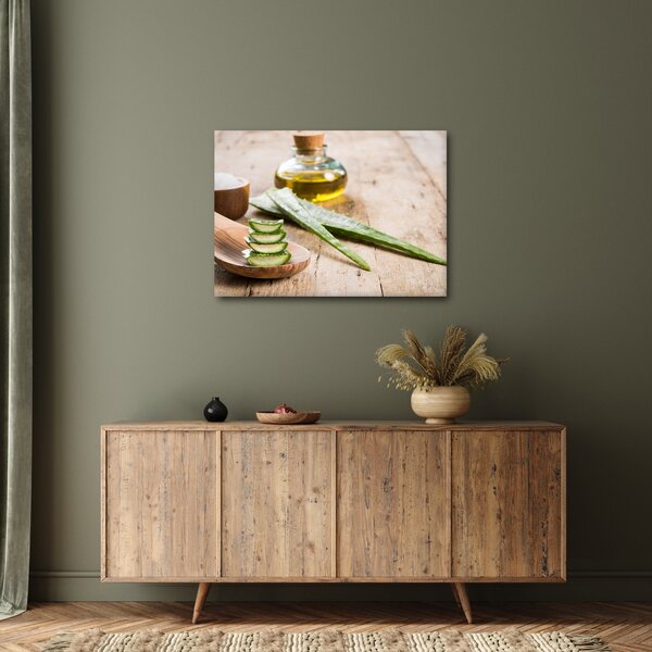 Obraz - Aloe vera (70x50 cm)