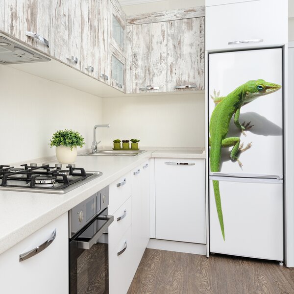 Foto tapeta na ledničku Zelená ještěrka FridgeStick-70x190-f-103468723