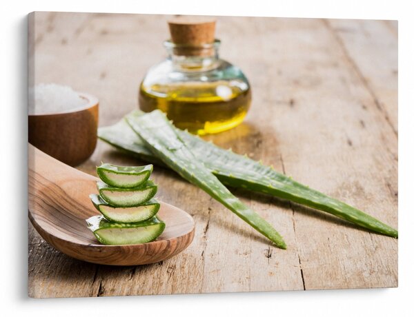 Obraz - Aloe vera (70x50 cm)