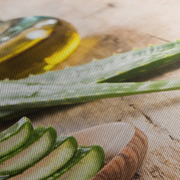 Obraz - Aloe vera (70x50 cm)