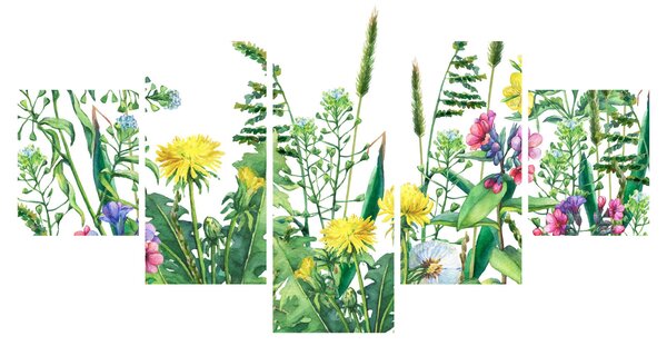Obraz - Malované luční kvítí (125x70 cm)