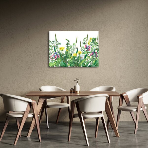 Obraz - Malované luční kvítí (70x50 cm)