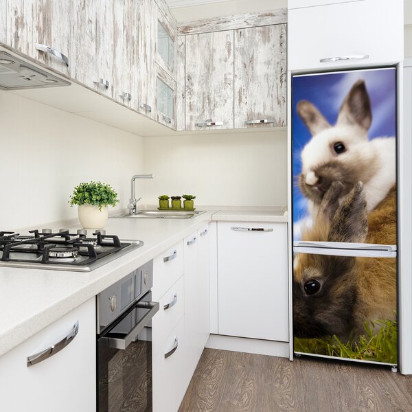 Foto tapeta na ledničku Dva králíci FridgeStick-70x190-f-48475157