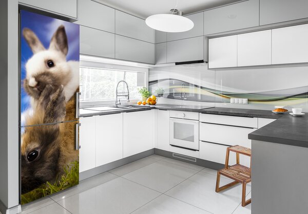 Foto tapeta na ledničku Dva králíci FridgeStick-70x190-f-48475157