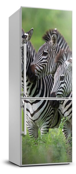 Foto nálepka na ledničku stěnu Tři zebry FridgeStick-70x190-f-48214640