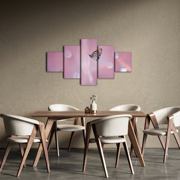 Obraz - Motýl (125x70 cm)