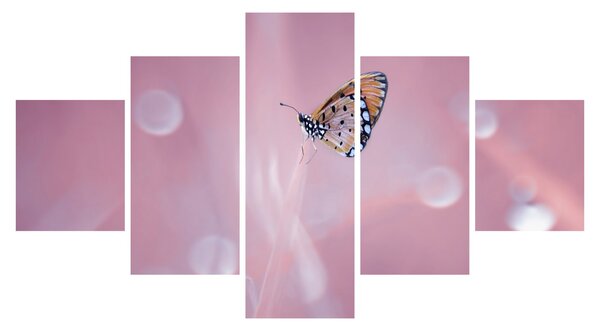 Obraz - Motýl (125x70 cm)