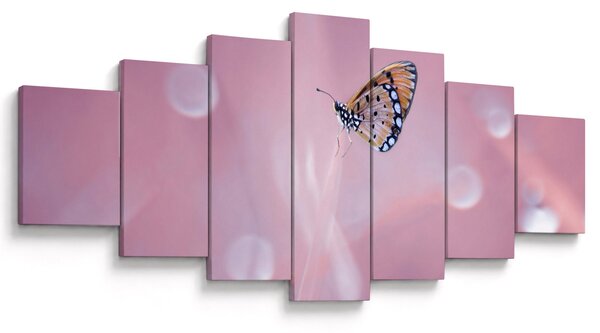 Obraz - Motýl (210x100 cm)
