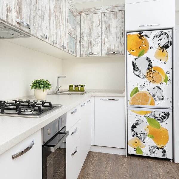 Nálepka na ledničku fototapeta Citrony a voda FridgeStick-70x190-f-52519204
