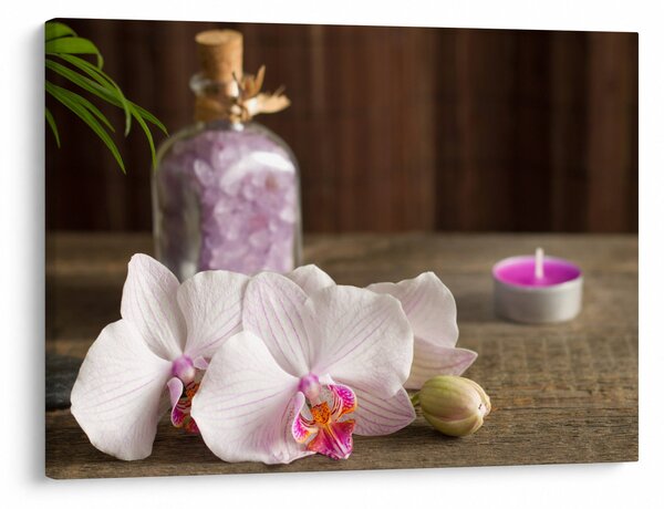 Obraz - Svíčka a orchideje (70x50 cm)