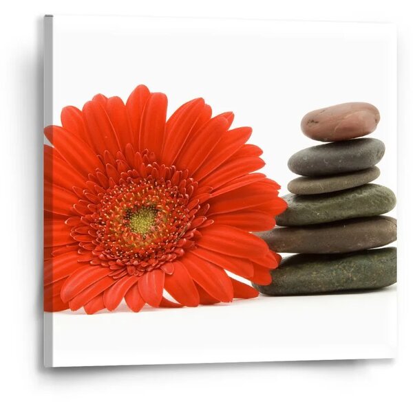 Sablio Obraz Gerbera s kameny - 50x50 cm