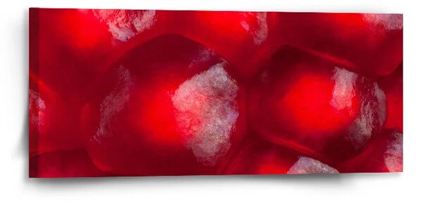 Sablio Obraz Granátové jablko - 110x50 cm