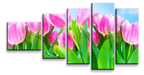 Sablio Obraz - 5-dílný Růžové tulipány - 100x60 cm
