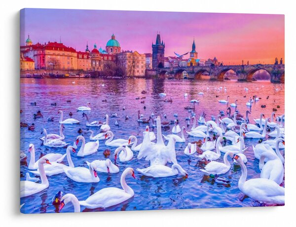 Obraz - Praha (70x50 cm)