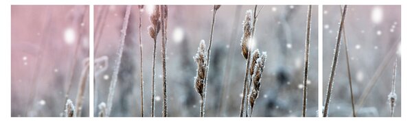 Obraz - Zimní krajina (170x50 cm)