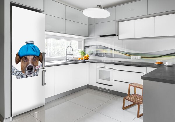 Foto nálepka na ledničku stěnu Nemocný pes FridgeStick-70x190-f-56627196