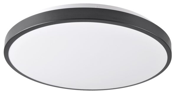 PLX LED stropní moderní osvětlení JOHN, 24W, denní bílá, 39cm, kulaté, černé 314925